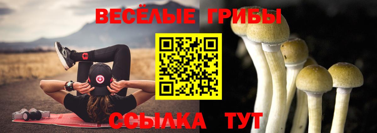 Псилоцибиновые грибы Magic Shrooms Урус-Мартан